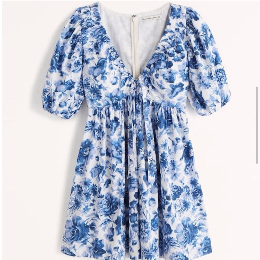 Abercrombie & Fitch Cinch Front Blue Floral Puff Sleeved Dress